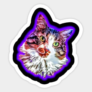 Purple Tabby Sticker